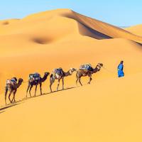 Мароко Пролет 2026 - от Имперските столици до загадките в Сахара