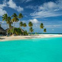 МАЛДИВИ - Canareef Resort Maldives 4* - 2023/2024