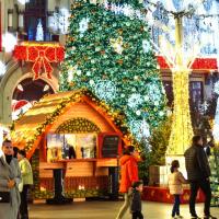 В коледната приказка КРАЙОВА - тръгване от София