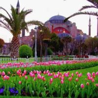 Фестивал на лалето в Истанбул 2026 (2 нощувки с нощен преход)