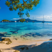 Екскурзия в Испания - Уикенд в Палма де Майорка