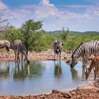 ЕКСКУРЗИЯ ДО НАМИБИЯ ЕКСКУРЗИЯ ДО НАМИБИЯ